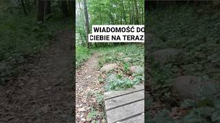 🍓 WIADOMOŚĆ DO CIEBIE NA TERAZ 🍓 #kosmicznemoniologi #tarot #wiadomosc #shortvideo