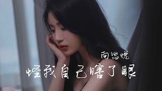 向思悦 - 怪我自己瞎了眼 - guai wo zi ji xia le yan - [动态歌词-pinyin lyrics]