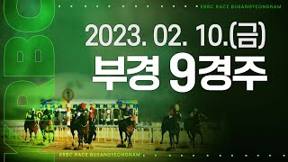 (부산)'23.2.10.9R 승운 아차차~ 동철에게 잡히다! 톱아델의 재역전!