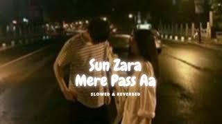 Sun Zara Mere Pass Aa - (Slowed & Reverbed)