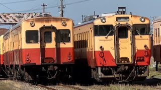 小湊鉄道キハ200とキハ40