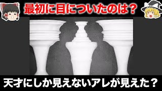 【ゆっくり解説】天才にしか見えない！？錯覚診断クイズ！