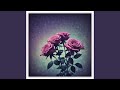 Shadows And Roses