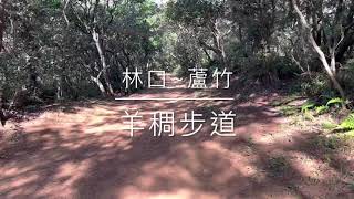 [親子健行] 羊稠步道｜賞高鐵｜台灣藍鵲｜甲蟲園區｜林口到蘆竹