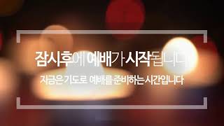 20201225 주예수교회 성탄감사예배 3부 라이브 LIVE (xlordchurch live)