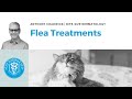 Veterinary Dermatology Top Tips - Flea Treatments