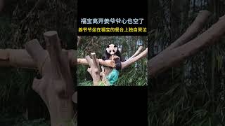 《再见爷爷》电影公开姜爷爷最新画面，姜爷爷坐在福宝曾经坐的餐台上独自哭泣，回忆与福宝的种种过往，福宝离开了，姜爷爷的心也随着空了。