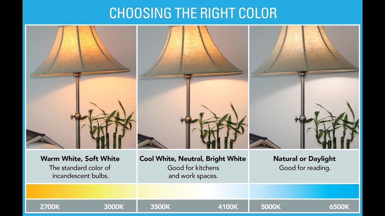Ask The Expert How To Choose A Light Bulb Youtube