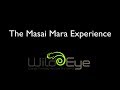 Wild Eye - The Masai Mara Experience