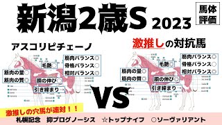 【新潟2歳ステークス2023】エンヤラヴフェイスとアスコリピチェーノ、どっちかは大物の器を持っていると思います。【馬体評価】