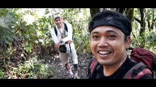 TekTok Gunung Cikuray via Pemancar