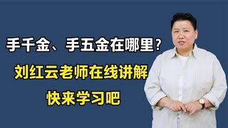 手千金、手五金在哪里？刘红云老师在线讲解，快来学习吧