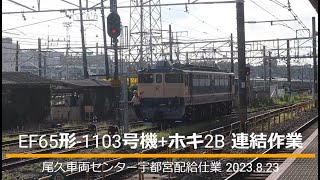 【レア】JR東日本 EF65形電気機関車+ホキ連結作業 尾久宇都宮配給仕業（2023 8 23）