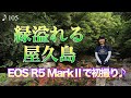 【撮影術】EOSR5 MarkⅡの初撮り♪緑溢れる屋久島ロケ！