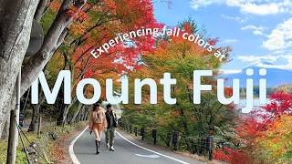 Japan Vlog 🇯🇵: Mount Fuji in autumn | fall foliage | glamping at retreat camp mahoroba | road trip