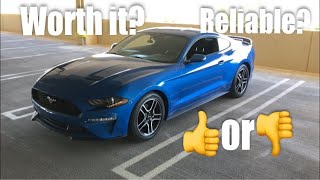 2019 Mustang EcoBoost 20k Mile Owner Review! Would I buy it again?