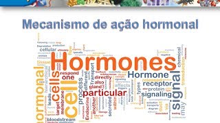 Curso de Bioquimica: Mecanismo de ação hormonal