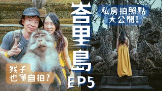 獵奇猴子森林 猴子也會自拍? 烏布最浮誇餐廳  怎麼拍都驚豔! 【峇里島Bali ep.5】