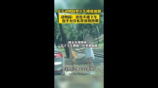 女子動物園里下車喂鹿被踢動物園：該處不能下車也不允許私帶食物投喂社會百態