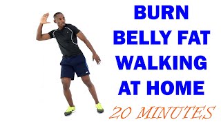 Burn Belly Fat Walking at Home/ 20 Minute Low Impact Morning Workout