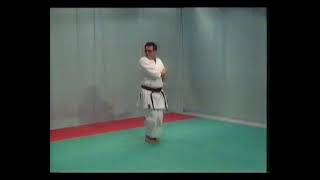 Karate Shotokan   Kata   10   Bassai Sho \u0026 Bunkai