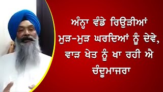 ਅੰਨਾ ਵੰਡੇ ਰੇਡੀਆਂ ਮੁੜ-ਮੁੜ ਕੇ ਘਰਦਿਆਂ ਨੂੰ, ਵਾੜ ਖੇਤ ਨੂੰ ਖਾ ਰਹੀ ਐ : ਚੰਦੂਮਾਜਰਾ