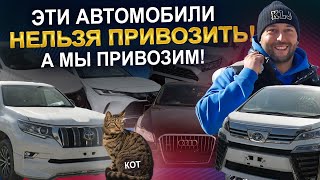 Их нельзя привозить, но мы привезли! PRADO | LEXUS | E-POWER | HARRIER | FORESTER | RAV4 | CX-8