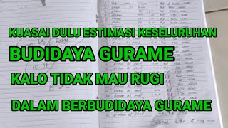 Gurame sistem Resirkulasi - OMSET 15 JUTA PERBULAN & pemula wajib tahu