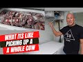 Picking up a Whole Beef (cow) from the Meat Processor