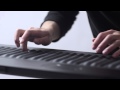 Introducing the Seaboard