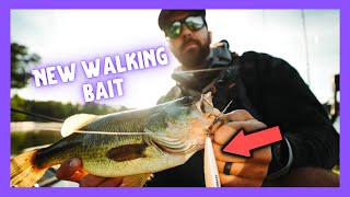 AMAZING Topwater Action With NEW MONSTERBASS Walking Bait!