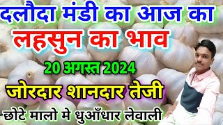 दलौदा मंडी आज का लहसुन का भाव 20 अगस्त 2024 |garlic rate today daloda Mandi |aaj ka lahsun bhav