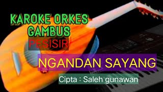 KAROKE LAMPUNG // Ngandan sayang ,Cipta Saleh Gunawan nada wanita no vokal