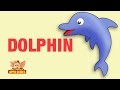 Animal Facts - Dolphin