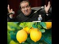 A.I. Scalia on the Lemon Test