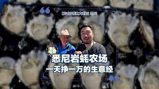 水上印钞机？探访悉尼岩蚝农场Sydney Rock Oyster，澳洲农民如何一天挣一万元