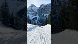 8km sledding in Swiss Alps🇨🇭Melchsee-Frutt #nature #sledding #switzerland