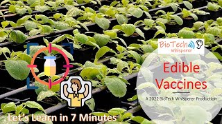 All About Edible Vaccines in 7 Minutes