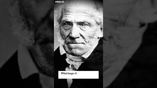 Schopenhauer: History's Most Pessimistic Philosopher
