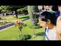 mughal garden delhi 2023 amrit udyan ticket booking full tour mughal garden 2023 delhi tour