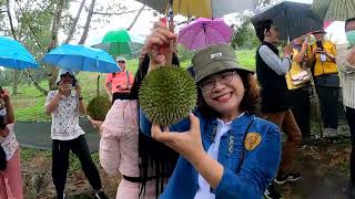 ผู้ว่าพังงาชวนเที่ยวหน้าฝนกินทุเรียนสาลิกาและไข่ออนเซ็นที่อำเภอกะปง