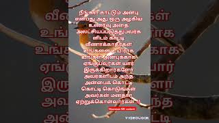 உங்கள் அன்பை வீணடிப்பவர்களிடம் அன்பை காட்டி அசிங்கப்படாதீர்கள்..!!