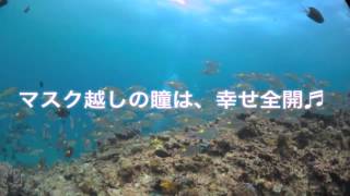 沖縄　瀬底島体験ダイビング　\