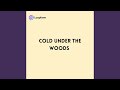 Cold under the Woods
