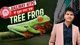 Tree Frog #sciencebyneerajjangid