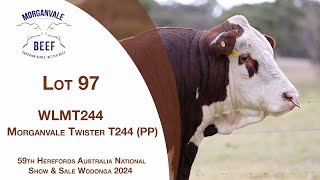 Lot 97 Morganvale Twister T244 (PP)