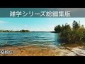 【睡眠導入】たんたんと雑学（雑学シリーズ総編集 115 ）【作業用・睡眠用bgm・聞き流し・リラックス・不眠症対策 トリビア・豆知識・小話・うんちく】毎日21時に更新中！