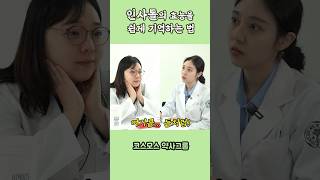 인사돌의 효능을 기억하는 방법🦷