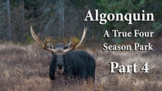 Algonquin – A True Four Season Park – Part 4