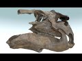 hadrosaur chewing alternate chewing hypothesis 1